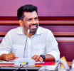 Proactively Engage in Rural Development by Rejuvenating the Productive Economy